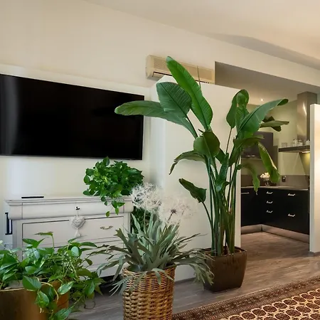 La Casa Di Flora Lejlighed Firenze